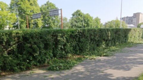 Uwaga na ścinkę po pracach porządkowych
