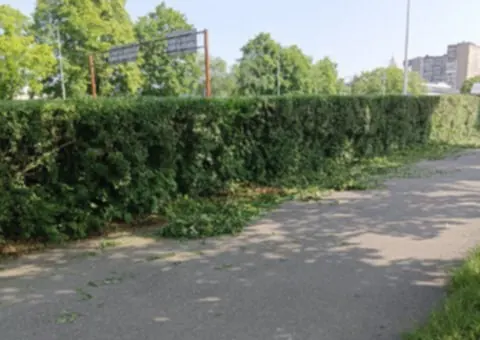 Uwaga na ścinkę po pracach porządkowych