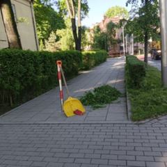 Uwaga na ścinkę po pracach porządkowych
