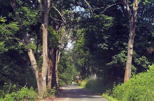 Rusza remont drogi Komarno–Radomierz