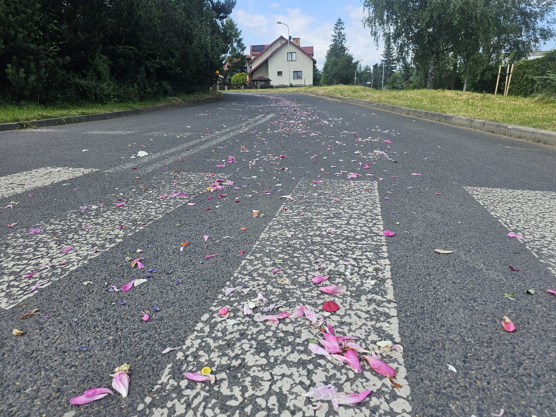 Uroczysta procesja Bożego Ciała w Cieplicach