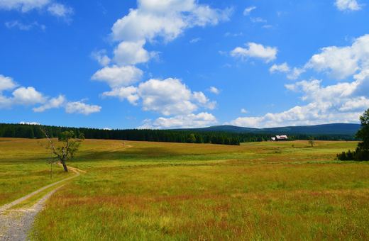 Uwaga turyści, prace leśne na szlakach