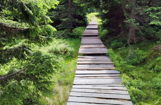 Karkonoski Park Narodowy odnowi szlaki