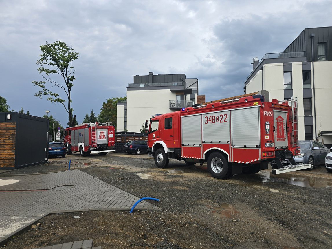 Ford przegrał z drzewem