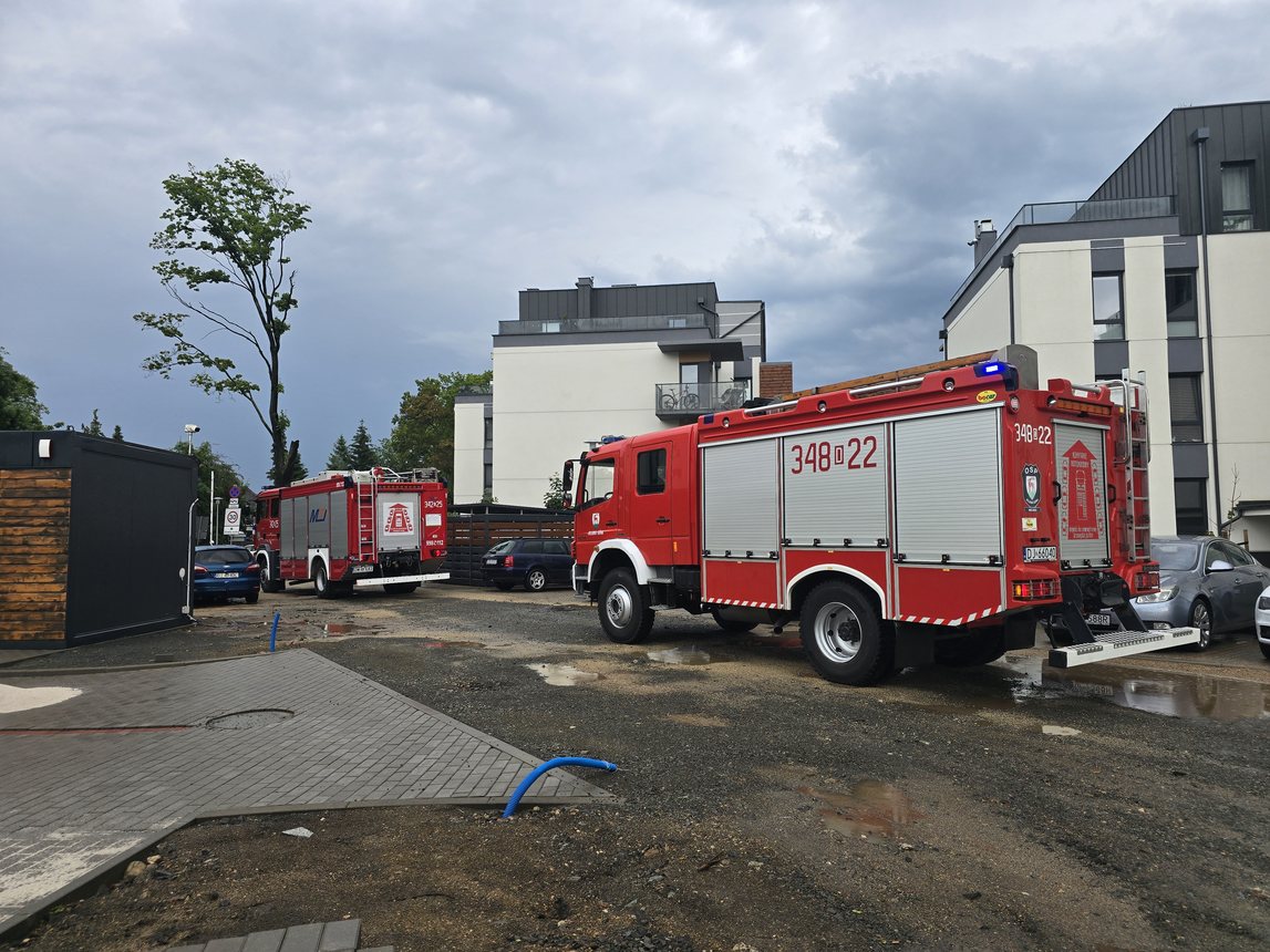 Ford przegrał z drzewem