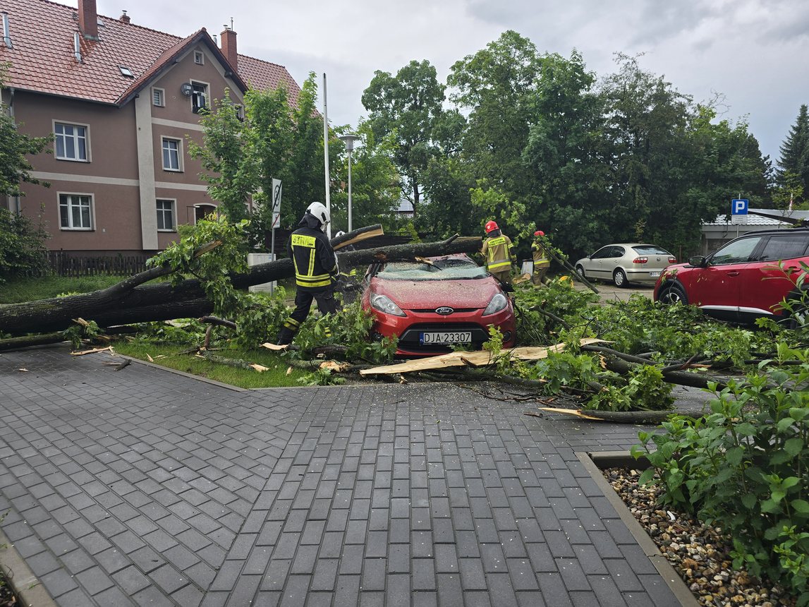 Ford przegrał z drzewem