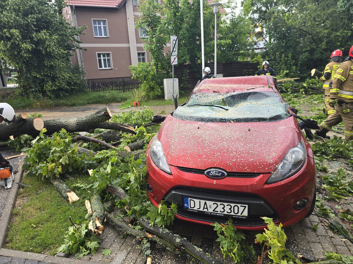 Ford przegrał z drzewem