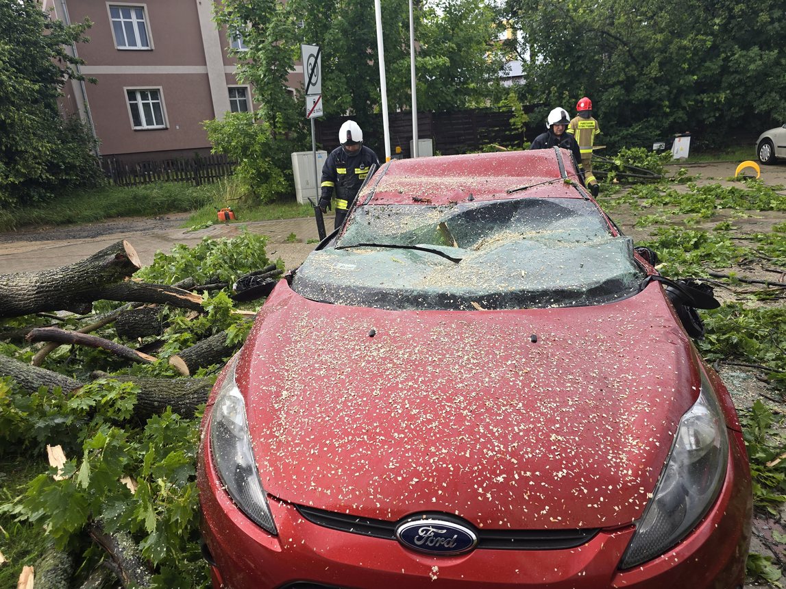 Ford przegrał z drzewem