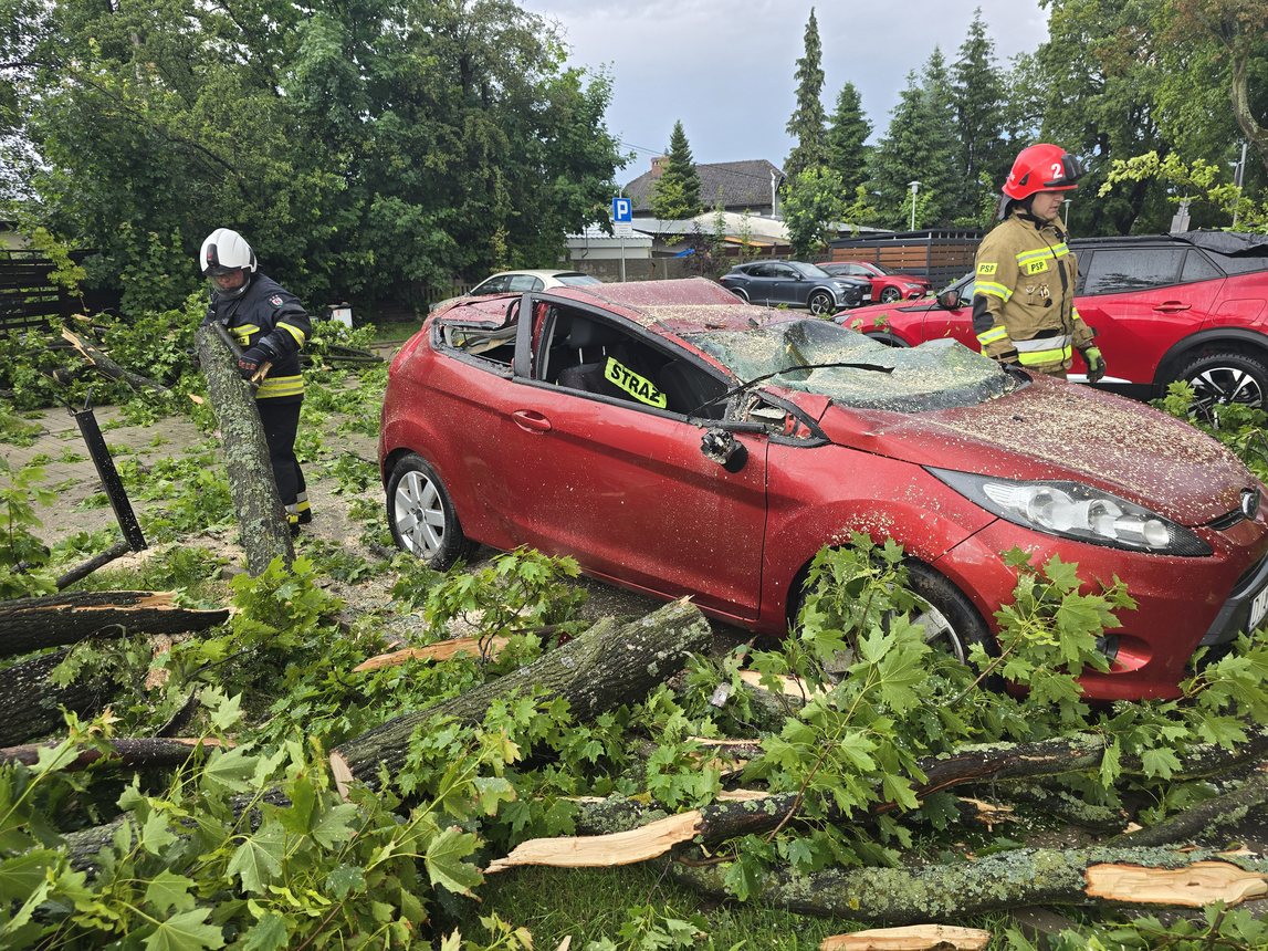 Ford przegrał z drzewem