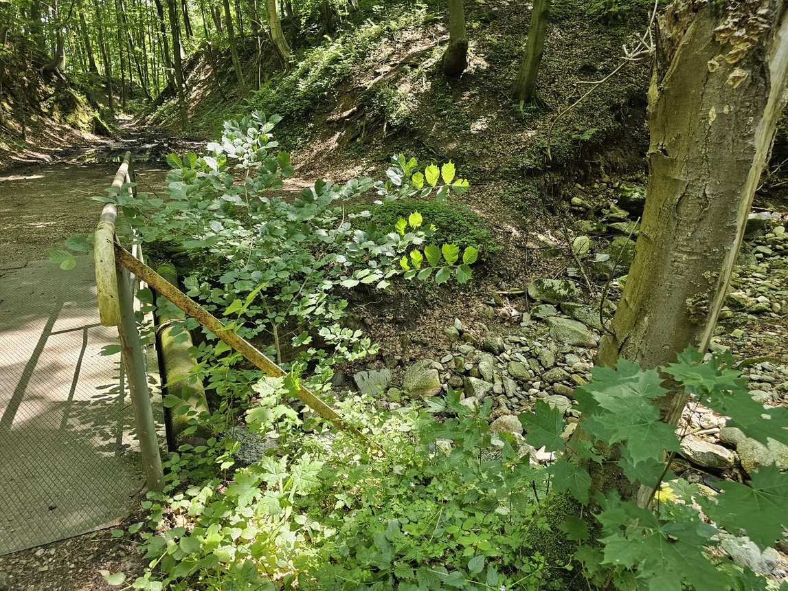 Wspólna modlitwa ponad granicami – pielgrzymka z Karpacza i Kowar do Małej Upy