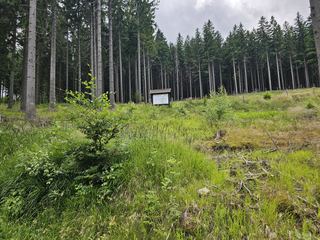 Wspólna modlitwa ponad granicami – pielgrzymka z Karpacza i Kowar do Małej Upy