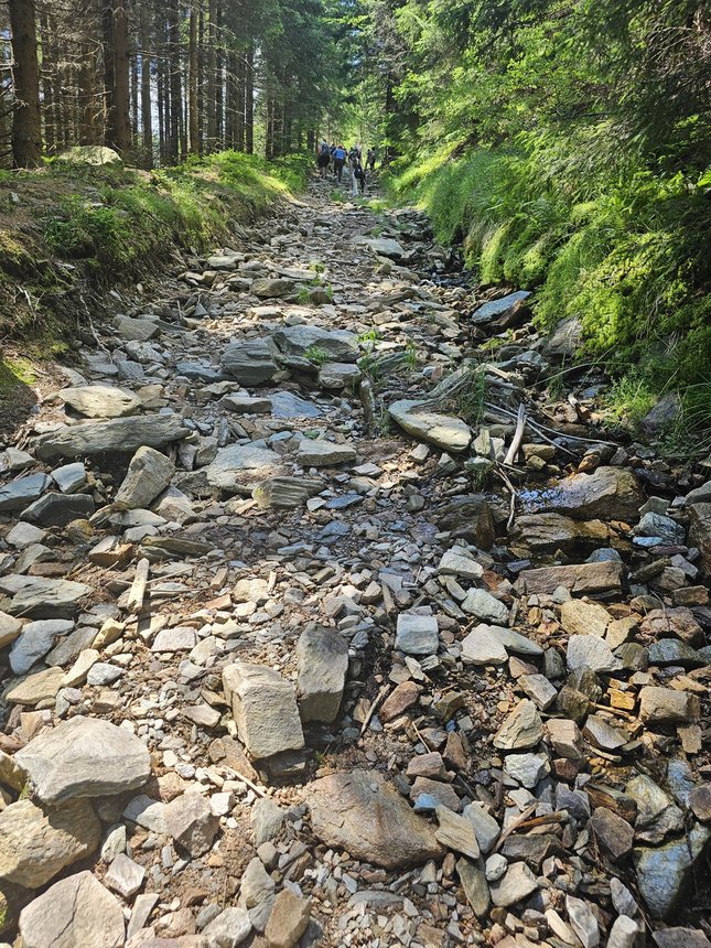 Wspólna modlitwa ponad granicami – pielgrzymka z Karpacza i Kowar do Małej Upy