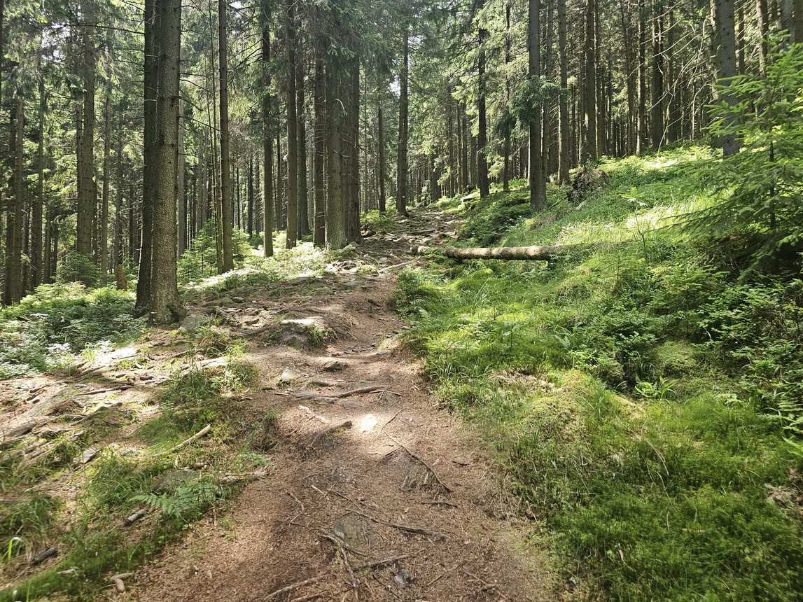 Wspólna modlitwa ponad granicami – pielgrzymka z Karpacza i Kowar do Małej Upy