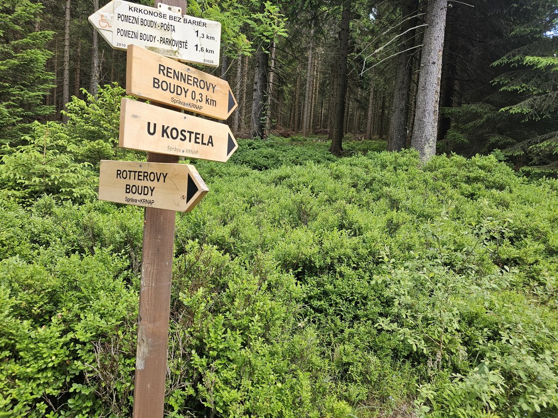 Wspólna modlitwa ponad granicami – pielgrzymka z Karpacza i Kowar do Małej Upy
