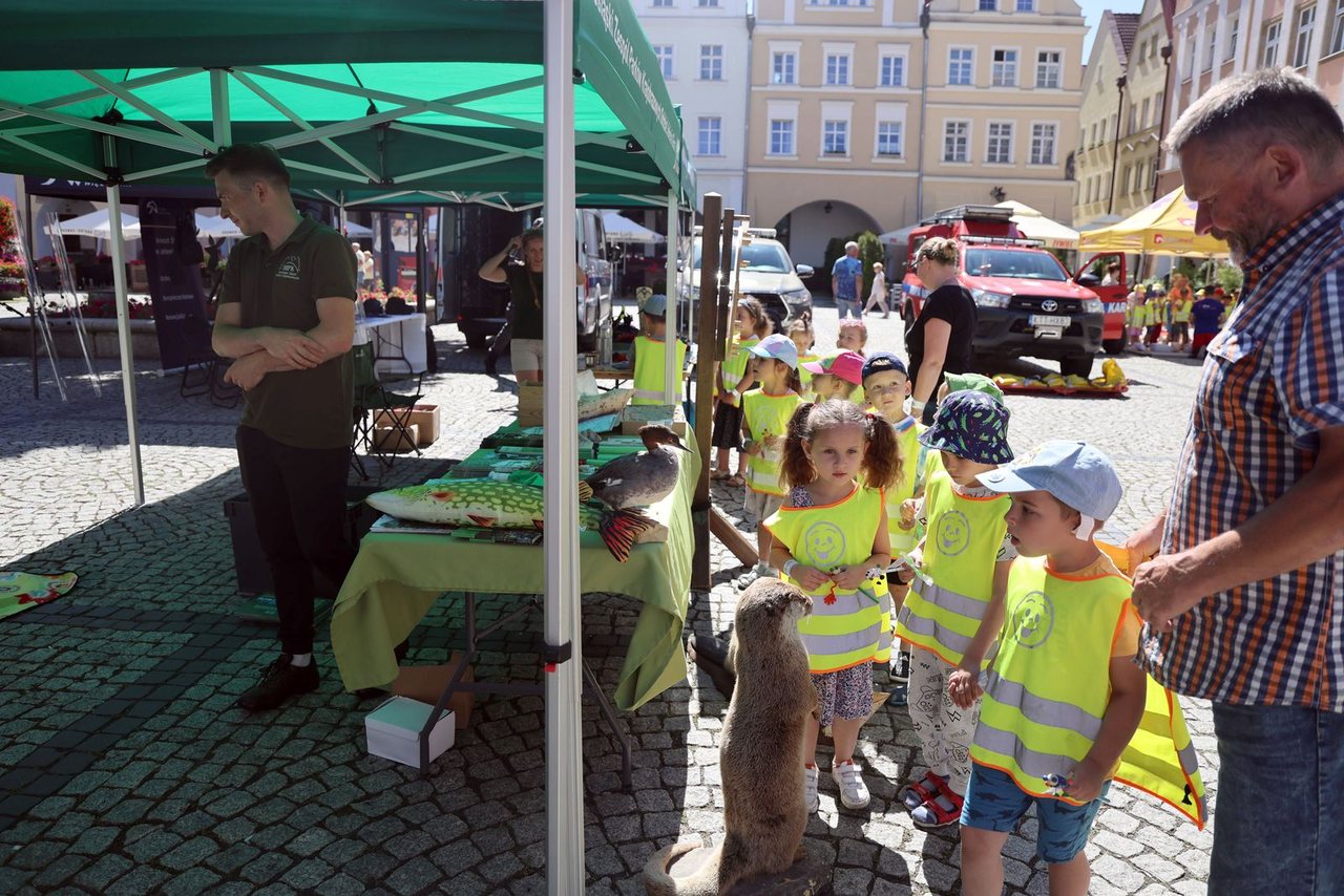 Zabawa i bezpieczny start lata