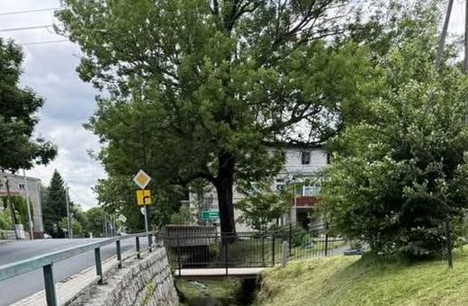 Młynówka do oczyszczenia