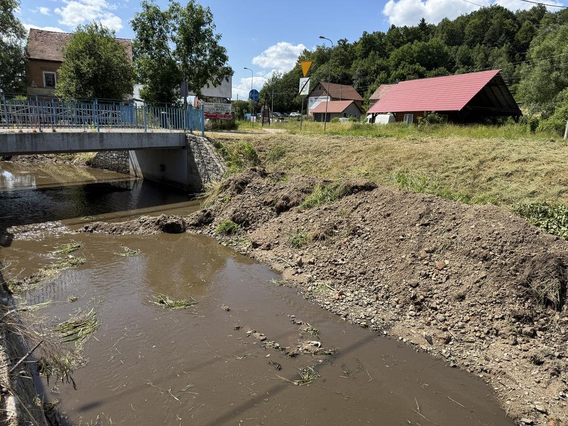 Czyszczą Radomierkę