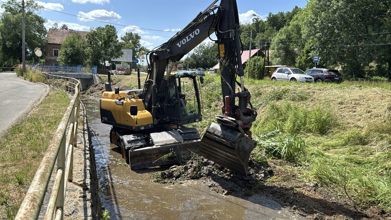 Czyszczą Radomierkę