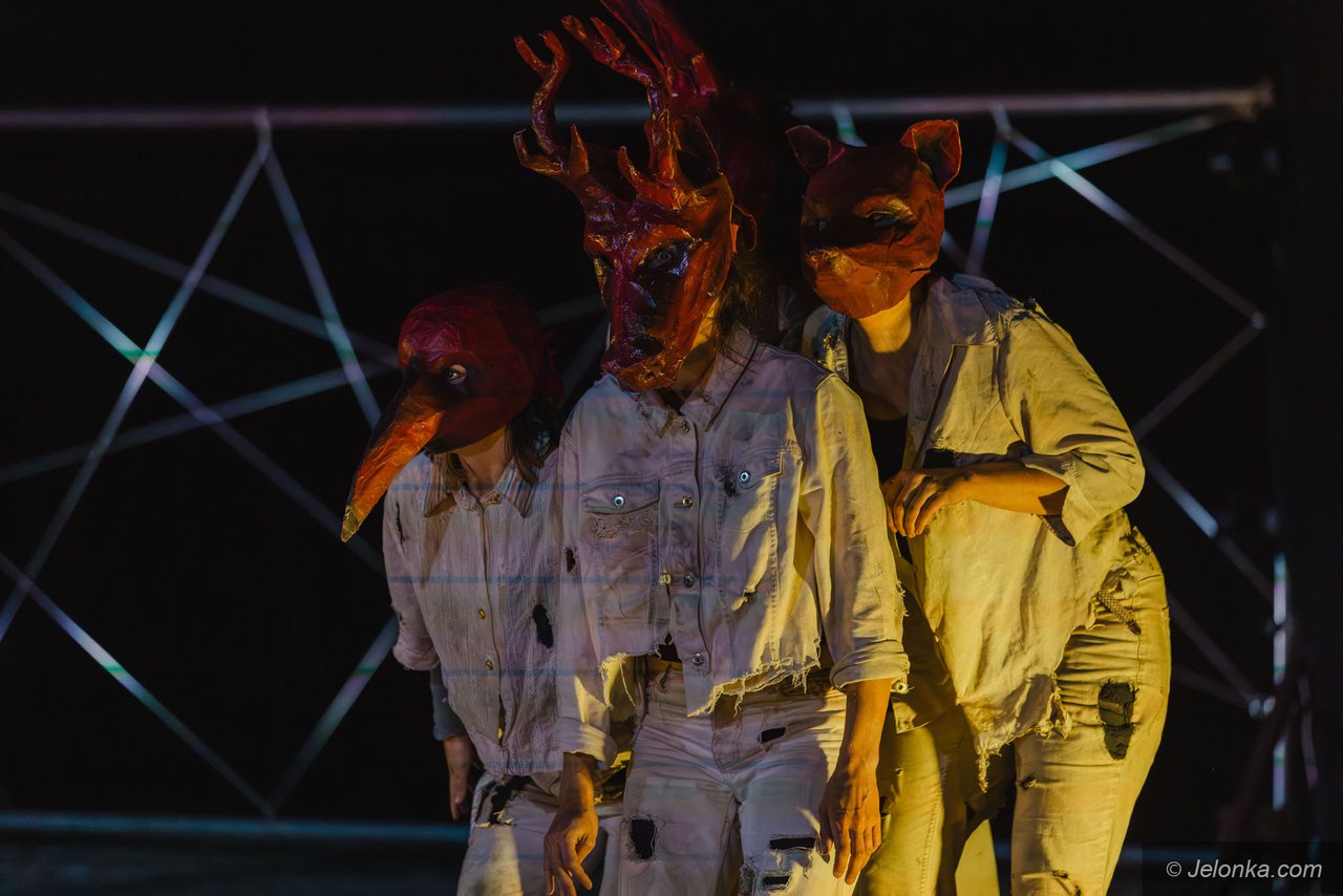 Teatry uliczne w Jeleniej Górze – dzień trzeci