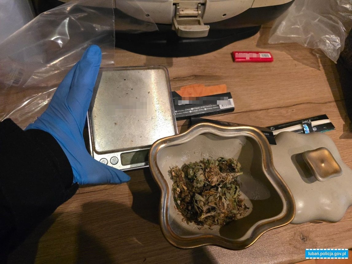 Zamiast ogródka – sąd i marihuana