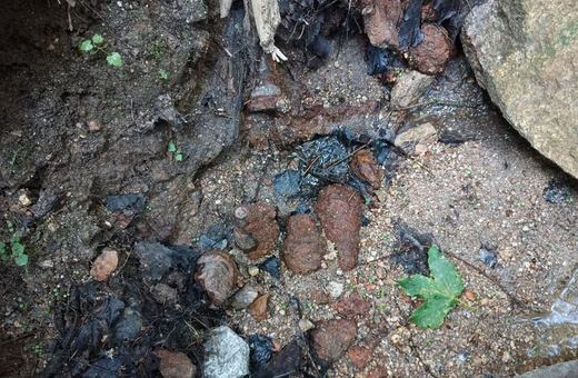 Policja jeleniogórska apeluje o ostrożność w przypadku znalezisk z okresu II Wojny Światowej