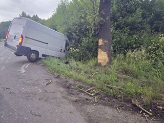 Zwierzę wybiegło, bus uderzył w drzewo