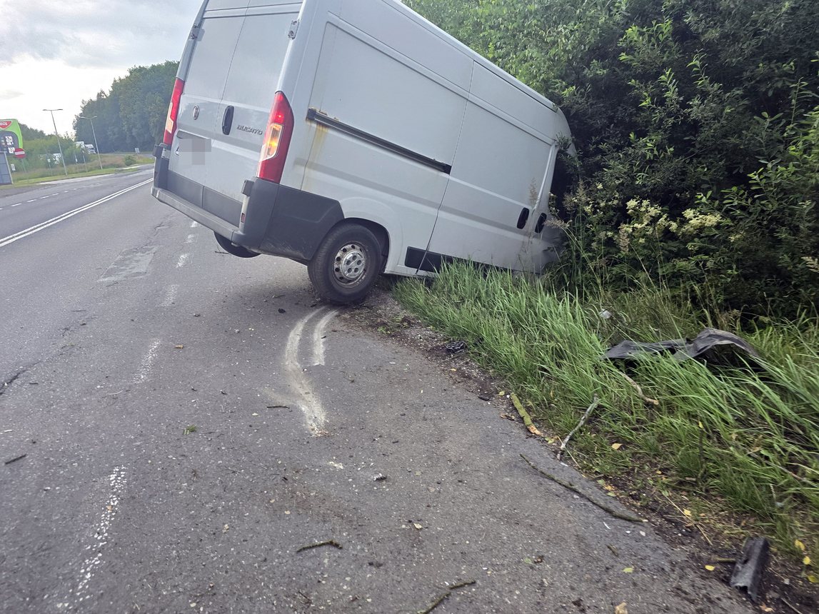 Zwierzę wybiegło, bus uderzył w drzewo
