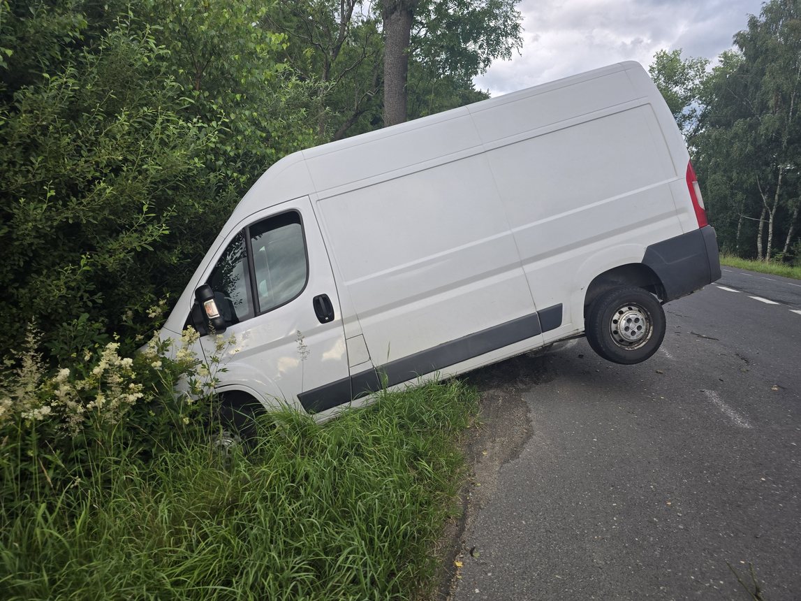 Zwierzę wybiegło, bus uderzył w drzewo
