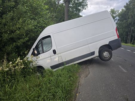 Zwierzę wybiegło, bus uderzył w drzewo