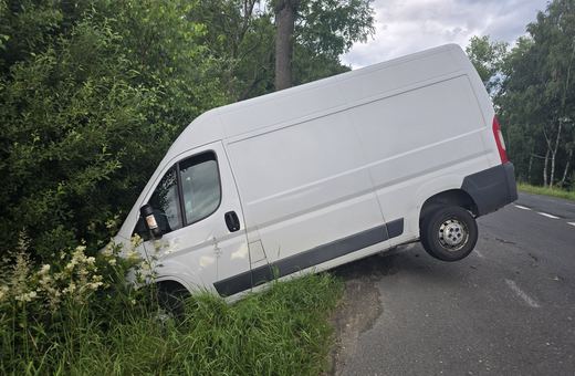 Zwierzę wybiegło, bus uderzył w drzewo