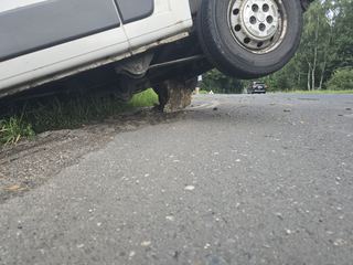 Zwierzę wybiegło, bus uderzył w drzewo