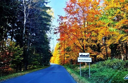 Przetarg na drogę powiatową Piechowice – Michałowice