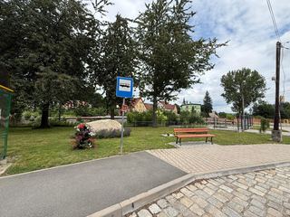 Trawniki skoszone, znaki odsłonięte