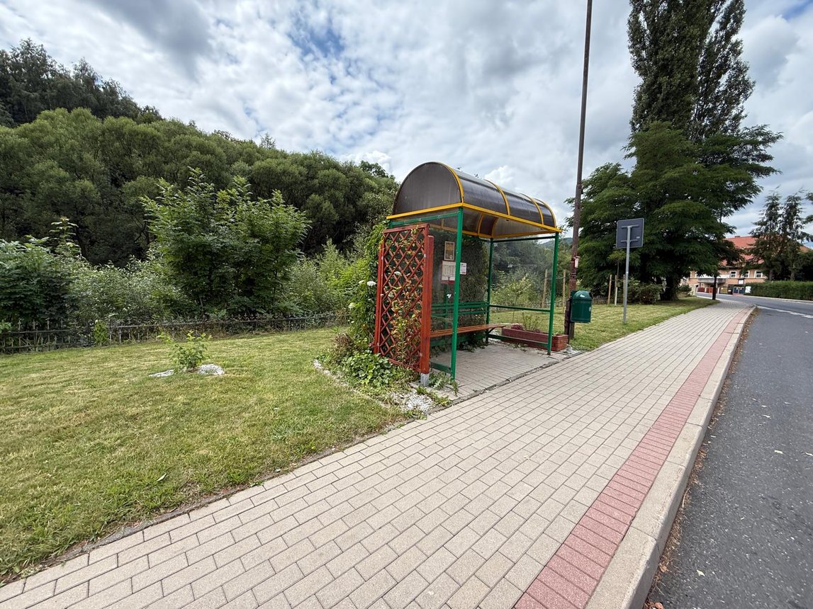 Trawniki skoszone, znaki odsłonięte