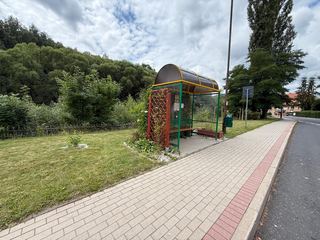 Trawniki skoszone, znaki odsłonięte