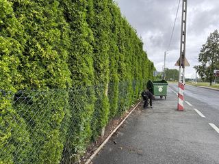 Trawniki skoszone, znaki odsłonięte