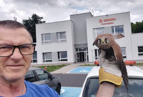 Nie tylko drogi – także ptaki pod opieką