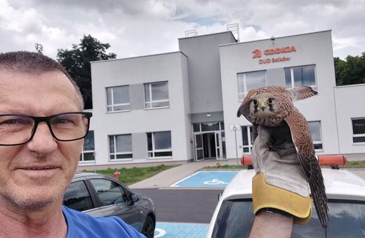Nie tylko drogi – także ptaki pod opieką