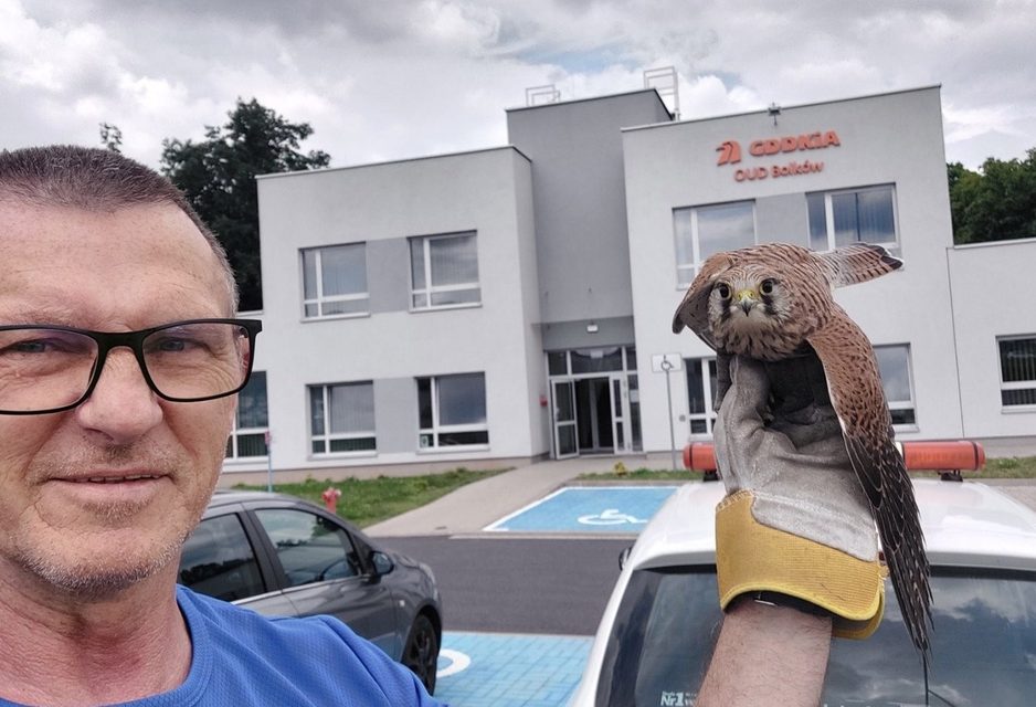 Nie tylko drogi – także ptaki pod opieką