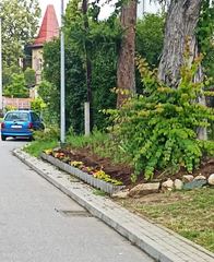 W Piechowicach dbają o zieleń