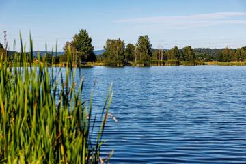 Spławikowcy zjadą nad Balaton w Jeleniej Górze
