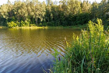 Spławikowcy zjadą nad Balaton w Jeleniej Górze
