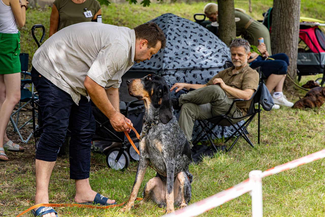 Wystawa psów w Cieplicach