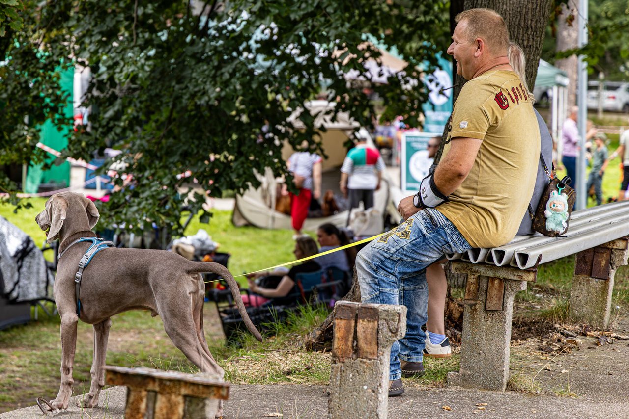 Wystawa psów w Cieplicach