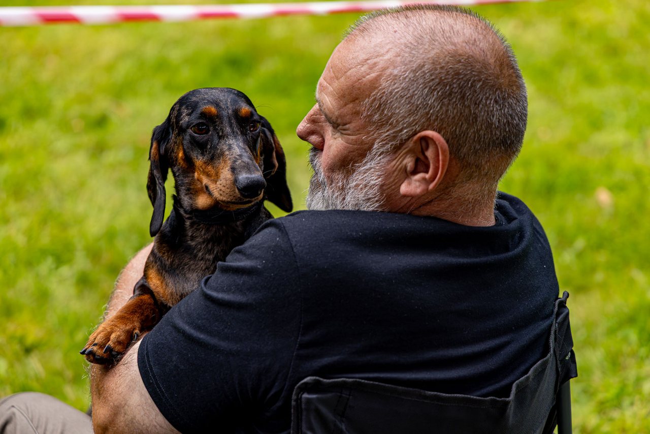 Wystawa psów w Cieplicach