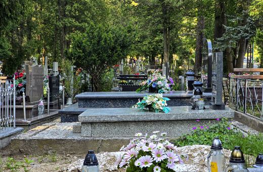 Zakaz sadzenia krzewów na cmentarzach