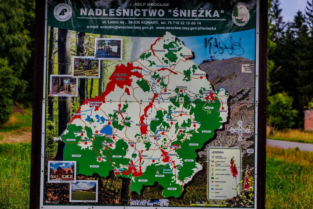 Parkingowa wizytówka z wysokiej półki