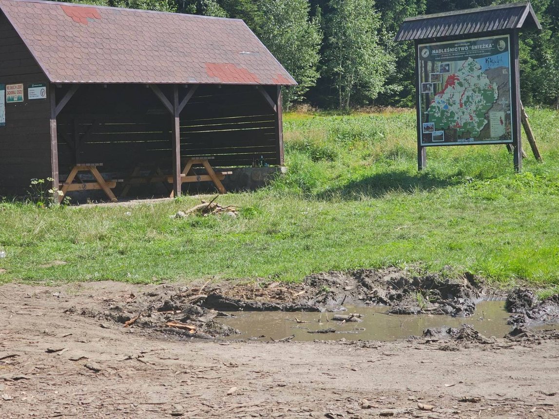 Parkingowa wizytówka z wysokiej półki