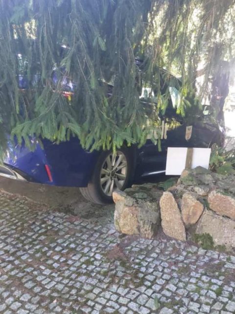 Samochód na schodach
