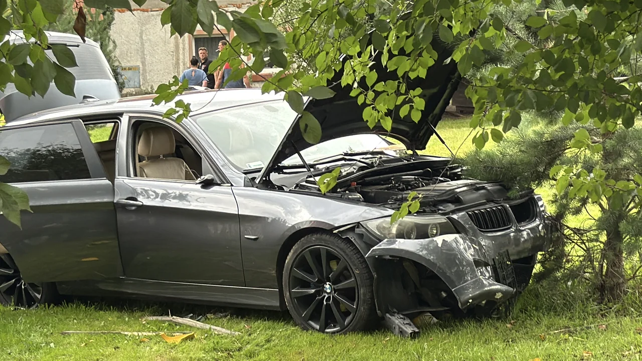 BMW w płocie i na podwórku
